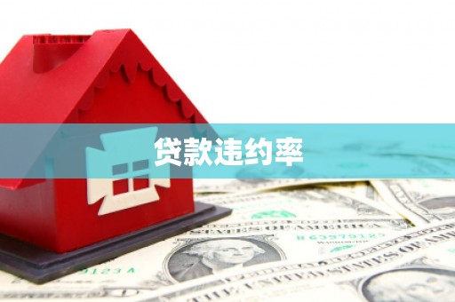 如皋贷款违约率