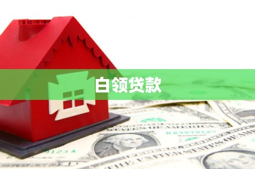 如皋白领贷款
