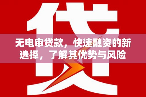 如皋无电审贷款，快速融资的新选择，了解其优势与风险