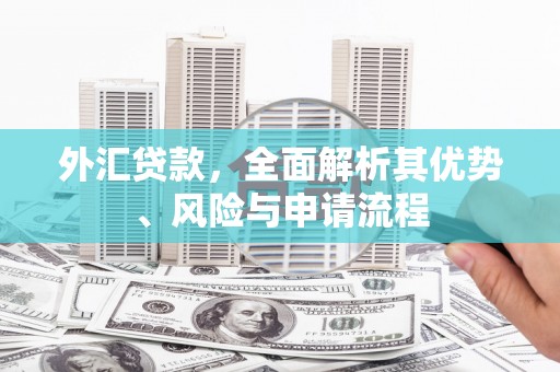 如皋外汇贷款，全面解析其优势、风险与申请流程
