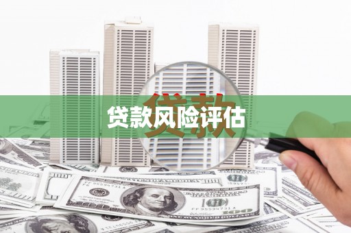 如皋贷款风险评估