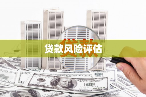 如皋贷款风险评估
