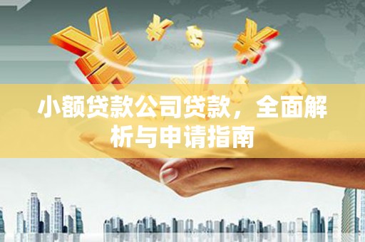 如皋小额贷款公司贷款，全面解析与申请指南
