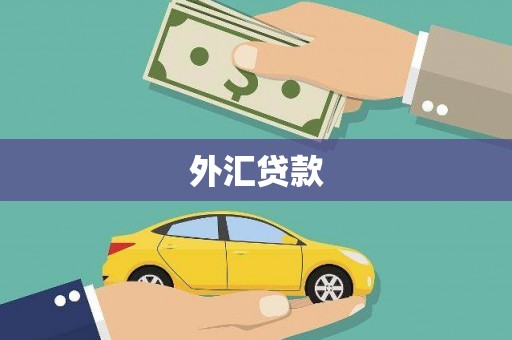 如皋外汇贷款