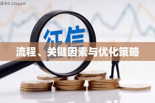 如皋流程、关键因素与优化策略