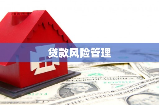 如皋贷款风险管理