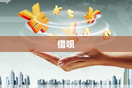 如皋借呗