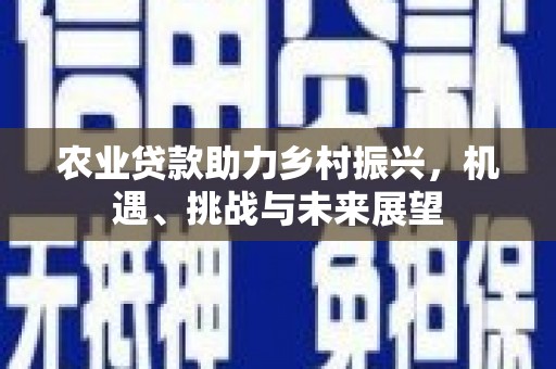 如皋农业贷款助力乡村振兴，机遇、挑战与未来展望