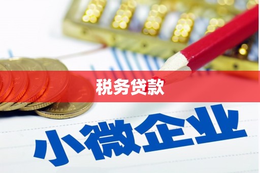 如皋税务贷款