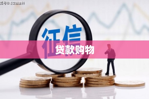 如皋贷款购物