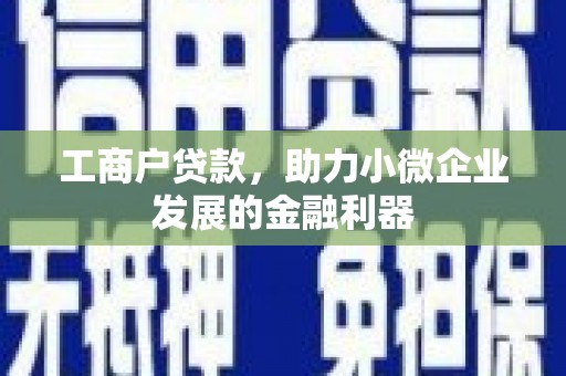 如皋工商户贷款，助力小微企业发展的金融利器