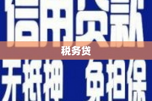 如皋税务贷