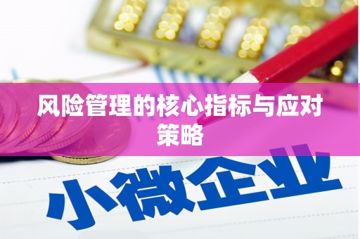 如皋风险管理的核心指标与应对策略