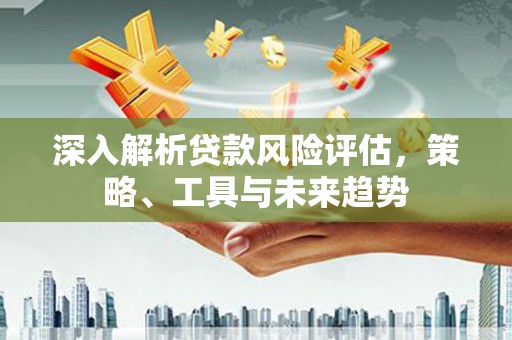 如皋深入解析贷款风险评估，策略、工具与未来趋势