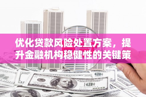 如皋优化贷款风险处置方案，提升金融机构稳健性的关键策略