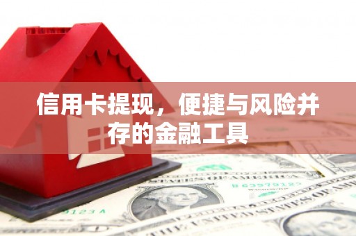 如皋信用卡提现，便捷与风险并存的金融工具