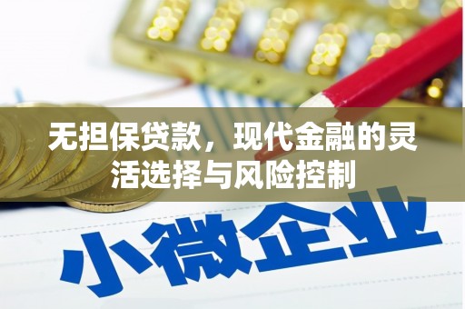 如皋无担保贷款，现代金融的灵活选择与风险控制