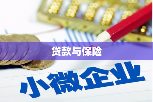 如皋贷款与保险