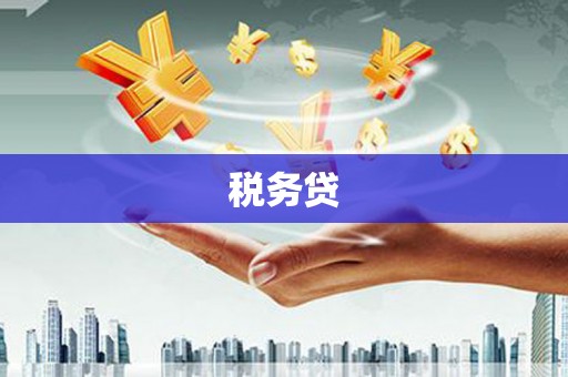 如皋税务贷