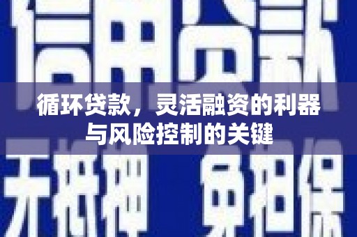 如皋循环贷款，灵活融资的利器与风险控制的关键