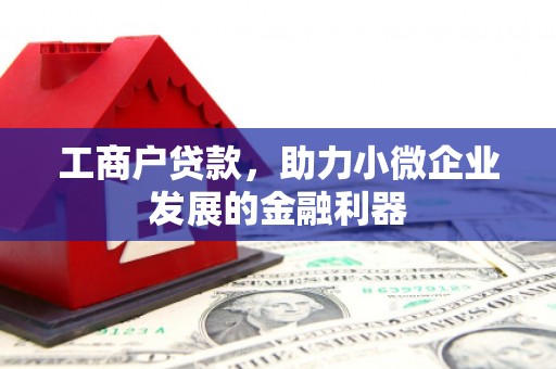 如皋工商户贷款，助力小微企业发展的金融利器