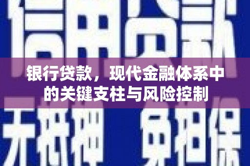 如皋银行贷款，现代金融体系中的关键支柱与风险控制