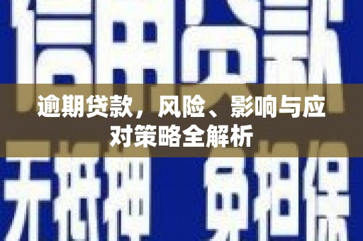 如皋逾期贷款，风险、影响与应对策略全解析