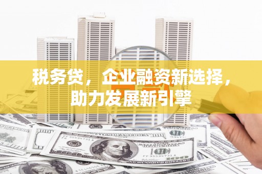 如皋税务贷，企业融资新选择，助力发展新引擎