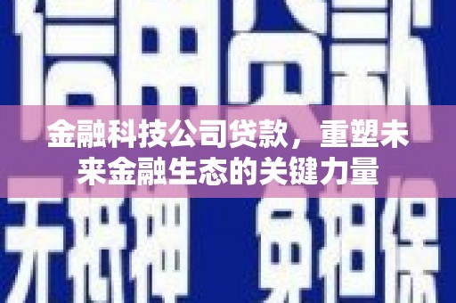 如皋金融科技公司贷款，重塑未来金融生态的关键力量
