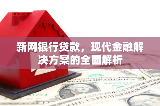 如皋新网银行贷款，现代金融解决方案的全面解析