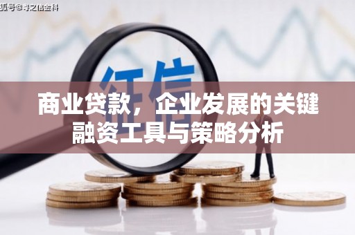 如皋商业贷款，企业发展的关键融资工具与策略分析