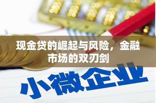 如皋现金贷的崛起与风险，金融市场的双刃剑