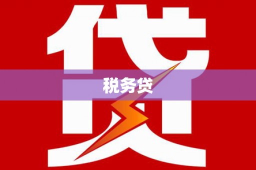 如皋税务贷