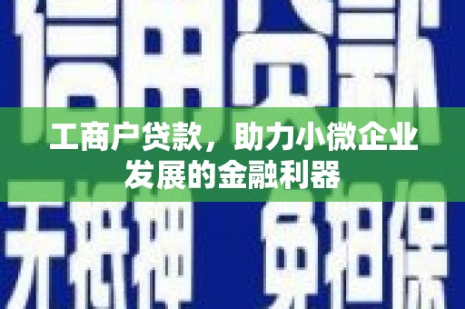 如皋工商户贷款，助力小微企业发展的金融利器