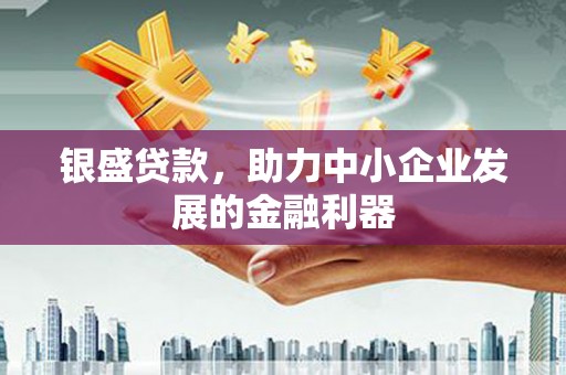 如皋银盛贷款，助力中小企业发展的金融利器