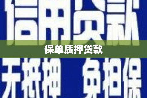 如皋保单质押贷款