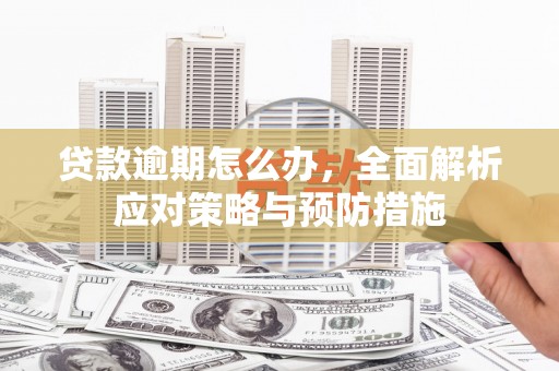 如皋贷款逾期怎么办，全面解析应对策略与预防措施