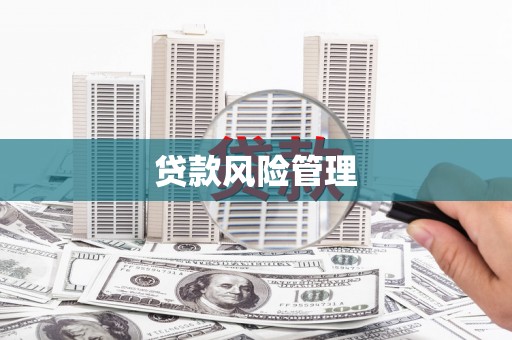 如皋贷款风险管理