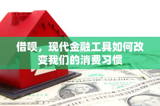 如皋借呗，现代金融工具如何改变我们的消费习惯