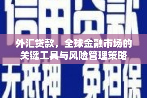 如皋外汇贷款，全球金融市场的关键工具与风险管理策略