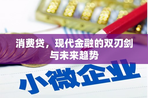 如皋消费贷，现代金融的双刃剑与未来趋势