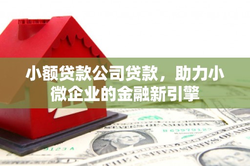 如皋小额贷款公司贷款，助力小微企业的金融新引擎