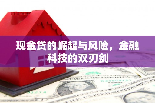 如皋现金贷的崛起与风险，金融科技的双刃剑