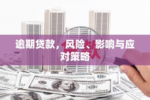 如皋逾期贷款，风险、影响与应对策略