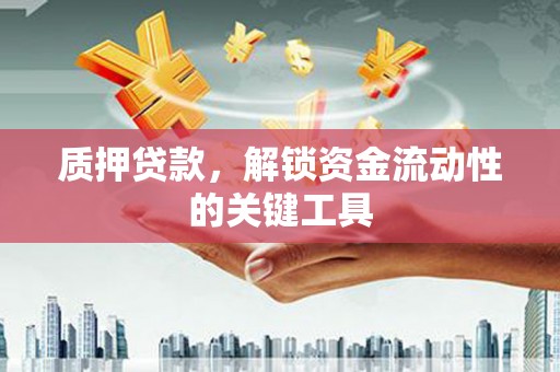 如皋质押贷款，解锁资金流动性的关键工具
