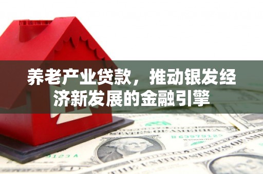 如皋养老产业贷款，推动银发经济新发展的金融引擎