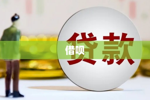 如皋借呗