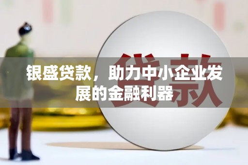 如皋银盛贷款，助力中小企业发展的金融利器