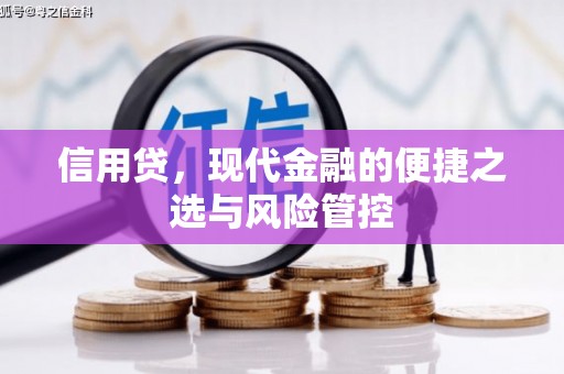 如皋信用贷，现代金融的便捷之选与风险管控