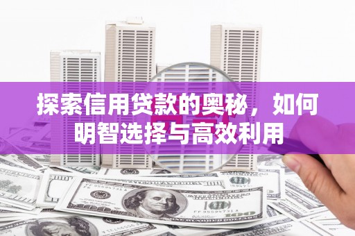 如皋探索信用贷款的奥秘，如何明智选择与高效利用